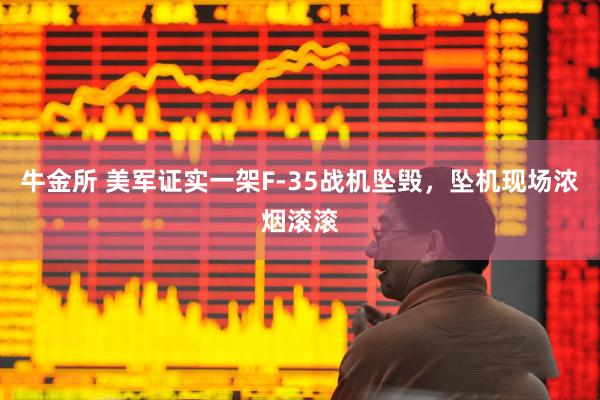 牛金所 美军证实一架F-35战机坠毁，坠机现场浓烟滚滚